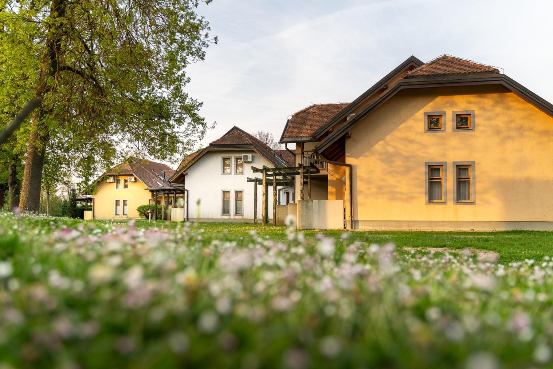 Terme Banovci - Hotelsko Naselje Zeleni Gaj Экстерьер фото